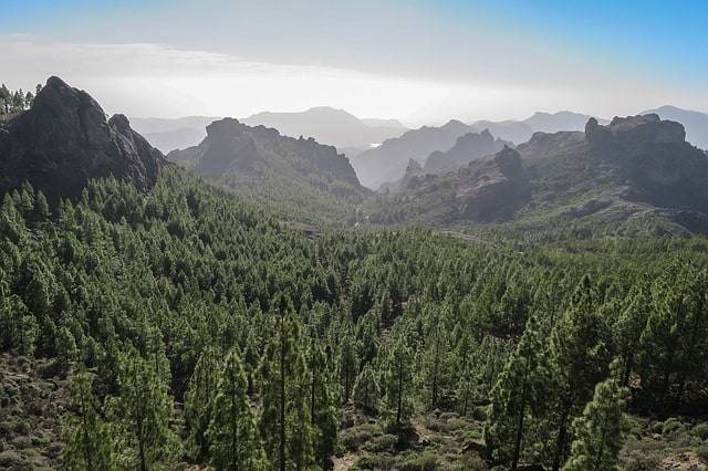 gran-canaria-natuur-leuke-bezienswaardigheden