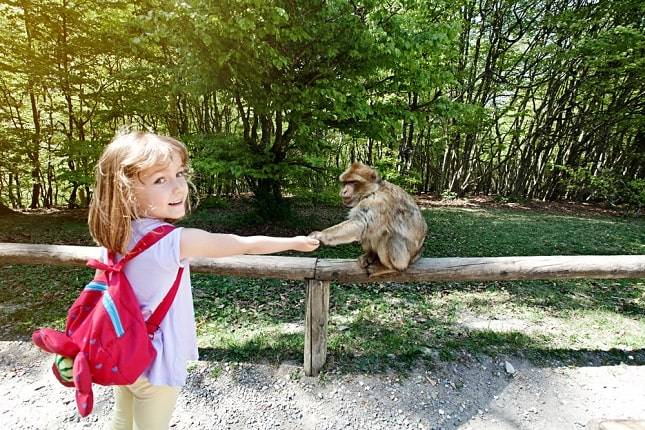 bodensee-leuke-activteiten-doen-kinderen
