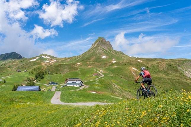 bodensee-mountainbiken-fietsen-wandelen-vakantie