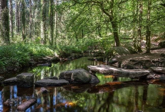 bretagne-vakantie-toerisme-landschap-natuur