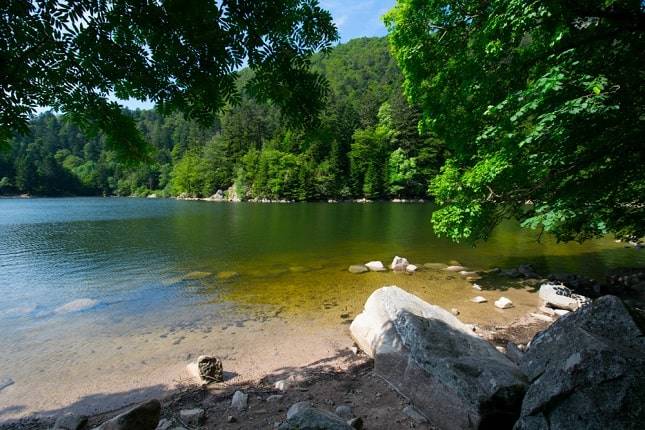 vogezen-frankrijk-vakantie-kinderen-wat-leuk-doen