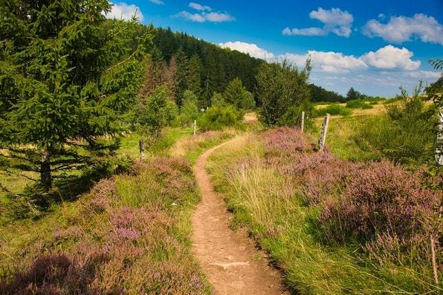 vogezen-frankrijk-wandelen-fietsen-mooie-plekken