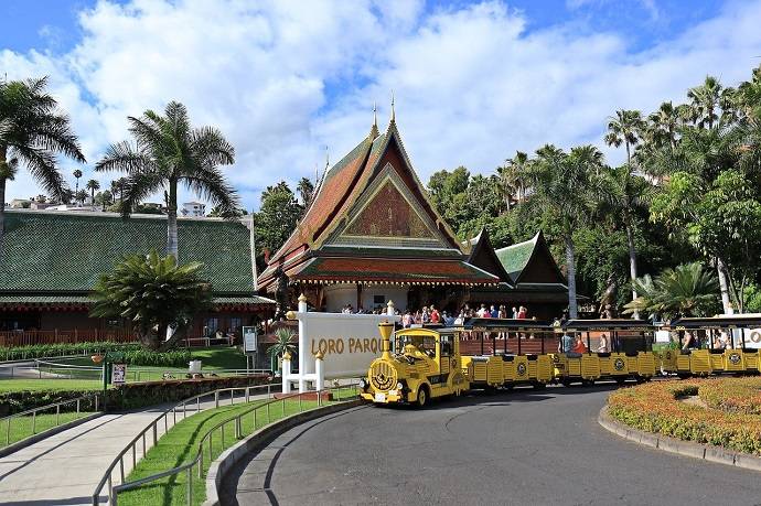 bezienswaardigheden-hoogtepunten-tenerife-wat-doen