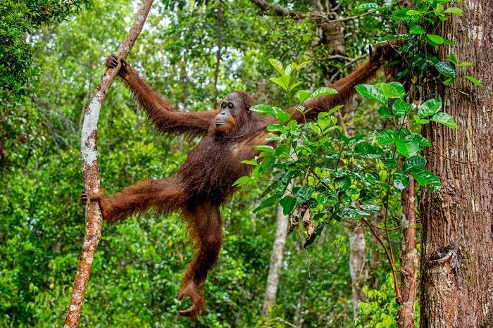 indonesie-leuke-plekken-plaatsen-bezienswaardigheden