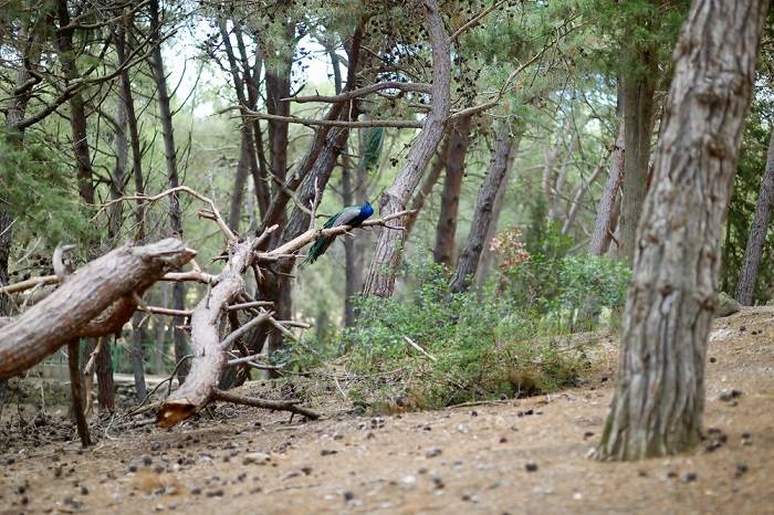 kos-mooie-plekken-plaatsen-natuur-vakantie