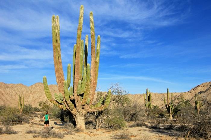 mexico-mooie-gebieden-plekken-natuur-stranden