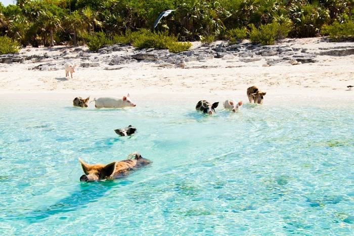 bahamas-mooie-plaatsen-plekken-vakantie