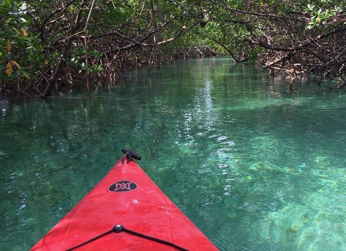 bahamas-wat-te-doen-natuur