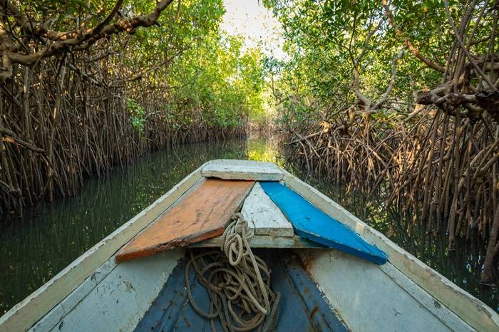 gambia-vakantie-bezienswaardigheden-tips