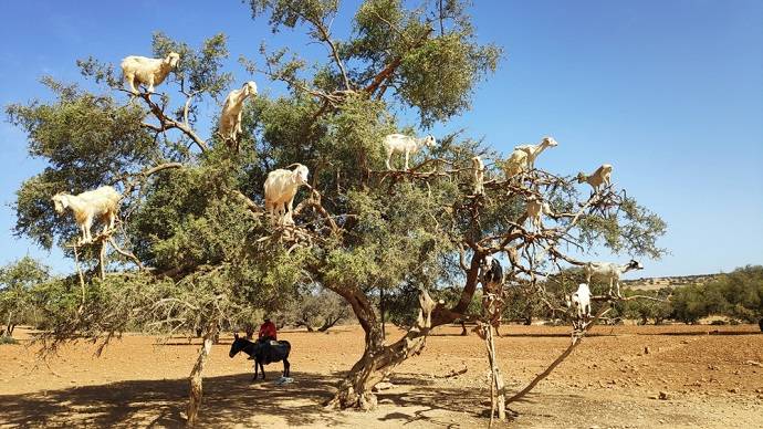 marokko-wat-doen-bezienswaardigheden
