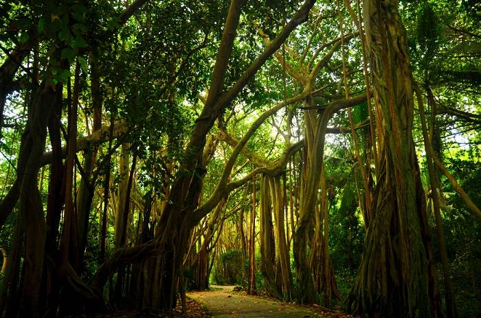 seychellen-mooie-luxe-plekken-vakanties