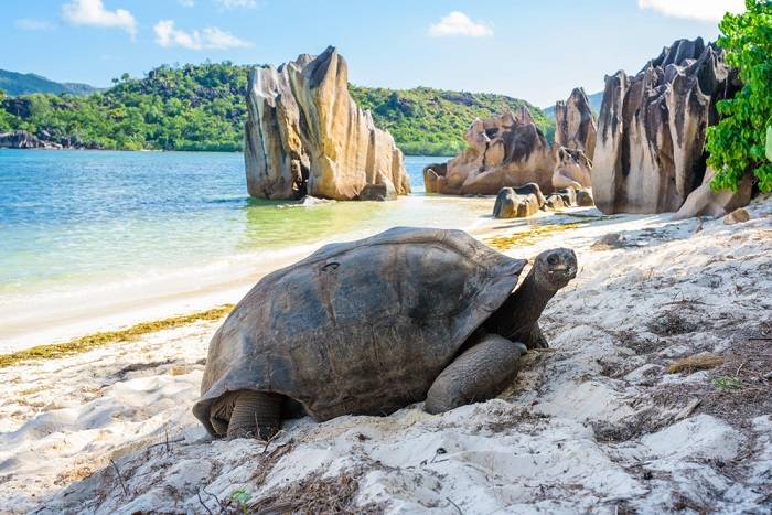 seychellen-stranden-mooie-natuur-informatie