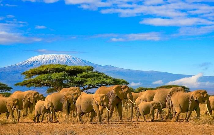 tanzania-vakantie-informatie-bezienswaardigheden