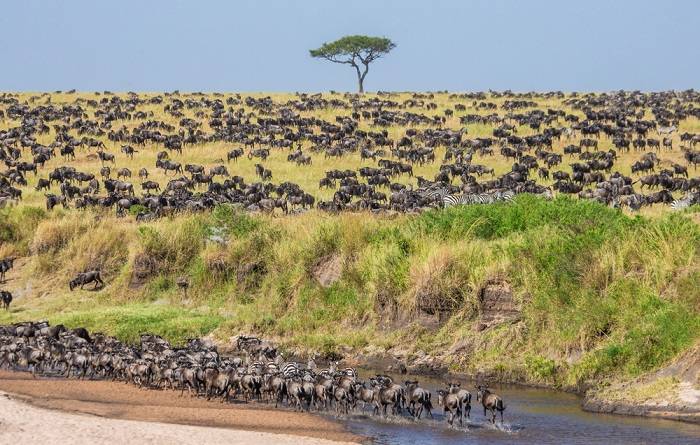tanzania-vakantie-leuke-dingen-doen-zien