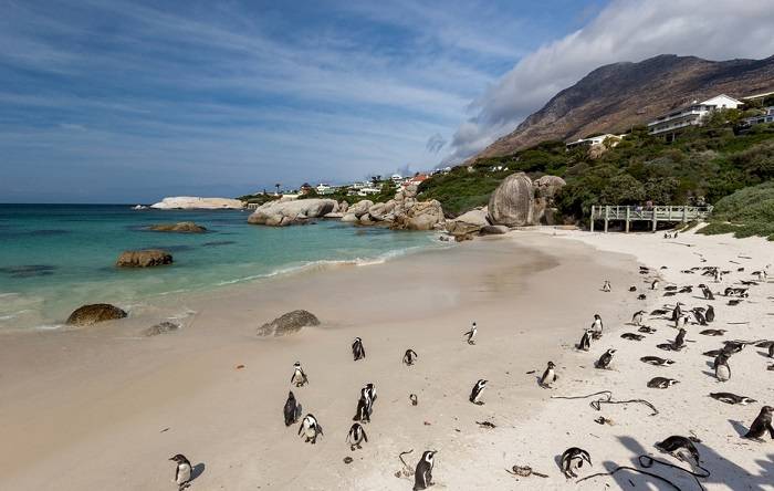 zuid-afrika-vakantie-ideeen-bestemmingen