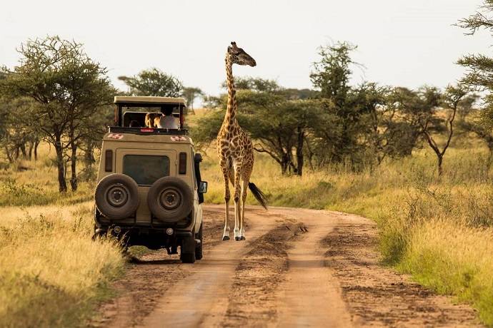 tanzania-safari-rondreis-vakantie-informatie