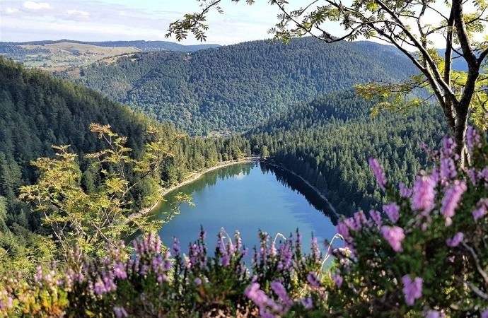 vogezen-frankrijk-winter-herfst-klimaat-informatie