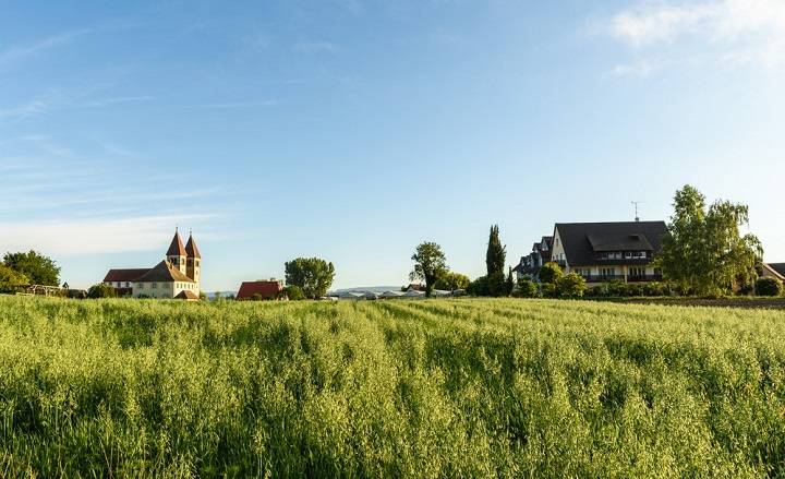 bodensee-vakantie-toerisme-informatie