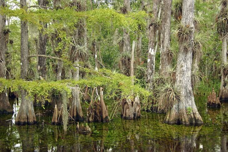 florida-mooie-plekken-highlights