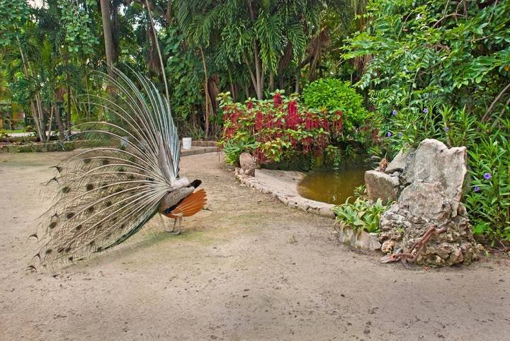 bahamas-wat-doen-zien