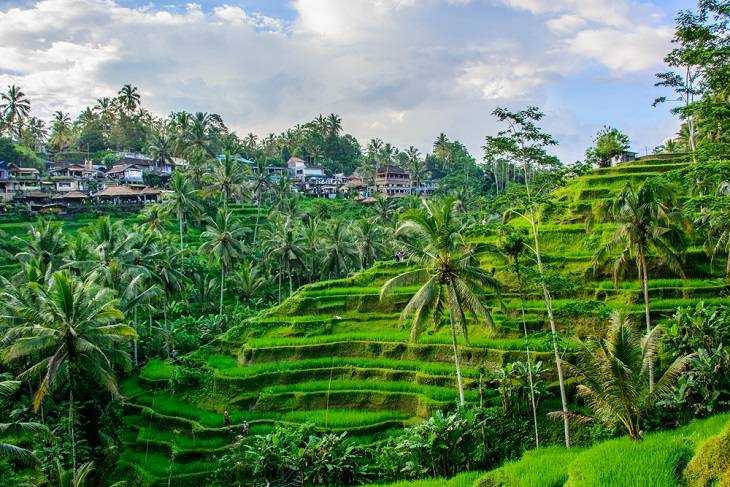 bali-ubud-leuke-plaatsen