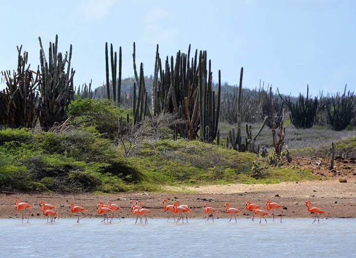 bonaire-mooie-bezienswaardigheden