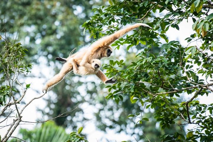 phuket-bezienswaardigheden-wat-doen