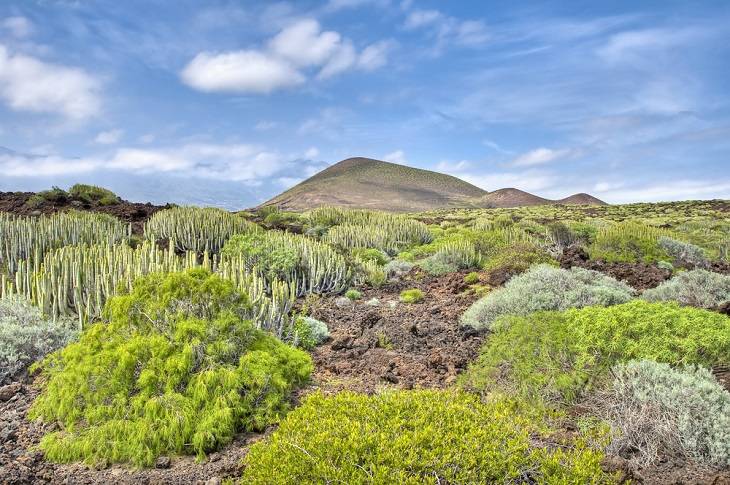 tenerife-bestemmingen-bezienswaardigheden
