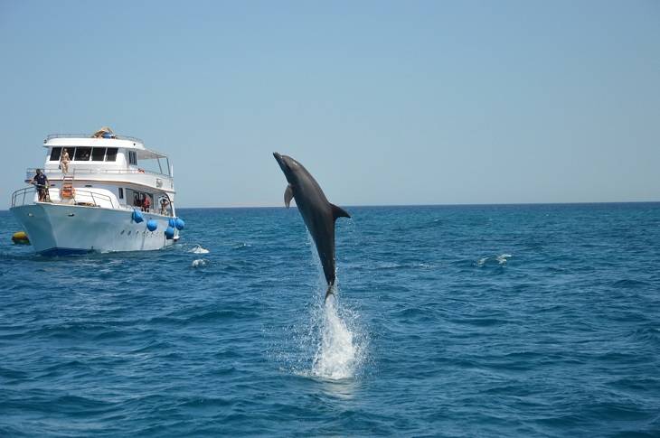 el-gouna-bezienswaardigheden-info