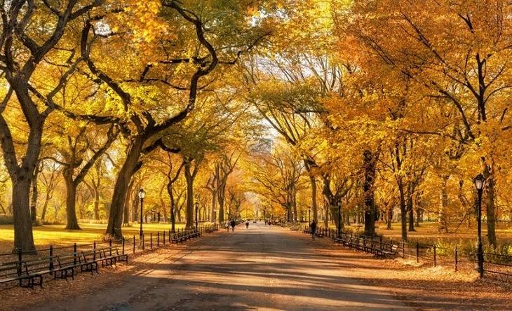 central-park-bezienswaardigheden-tips