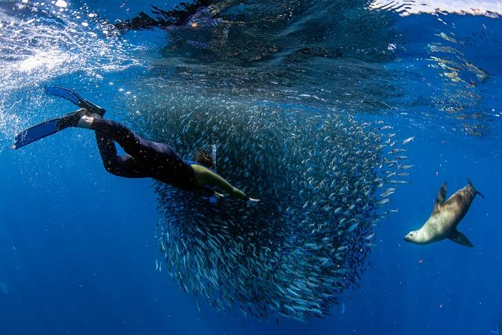 durban-zuid-afrika-informatie