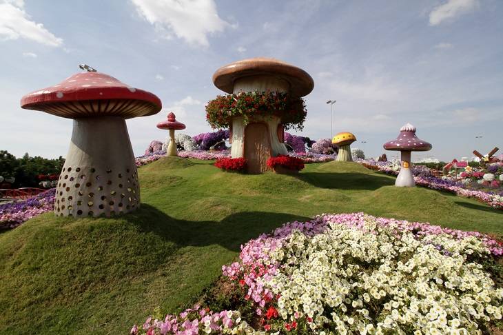 miracle-garden-info-wat-zien