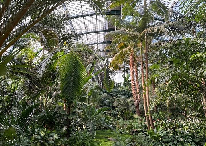 frankfurt-activiviteiten-doen-tuin