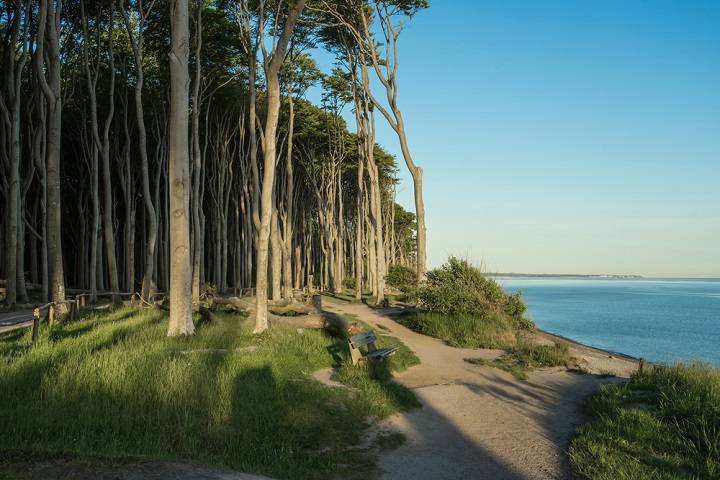 gespensterwald-mecklenburg-bezienswaardigheden