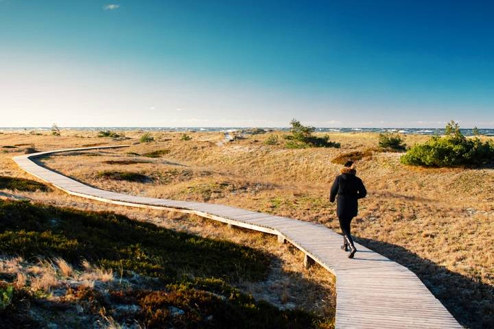 mecklenburg-plekken-vorpommersche-boddenlandschaft
