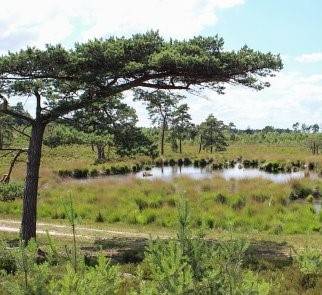 gebieden-belgie-info