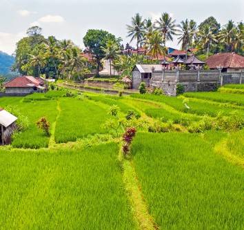 plekken-indonesie-info