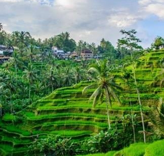 ubud-informatie